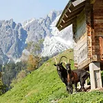 Gut Stein Panoramalodge *