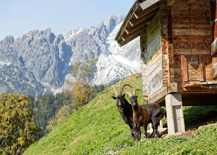 Gut Stein Panoramalodge *